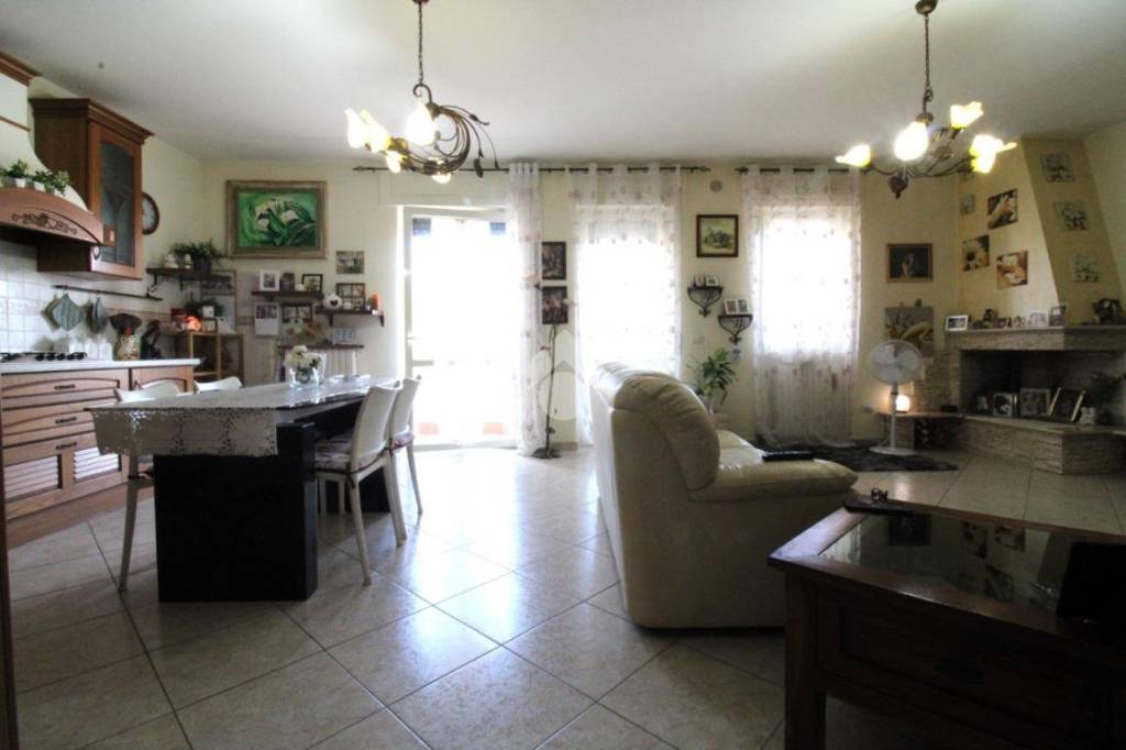 immagine annuncio 5 di 15