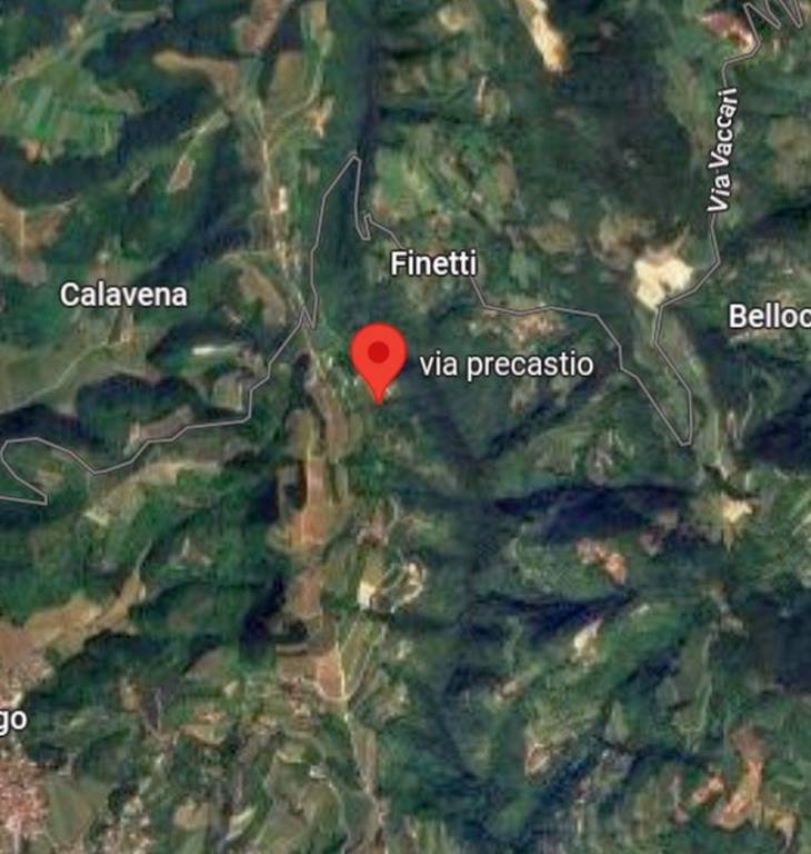 immagine annuncio 9 di 14