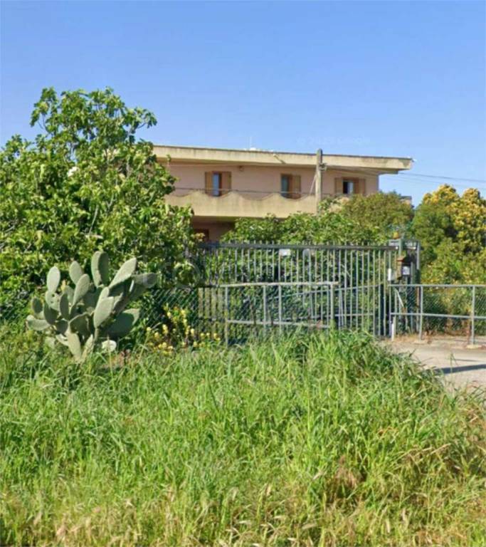 immagine annuncio 3 di 11