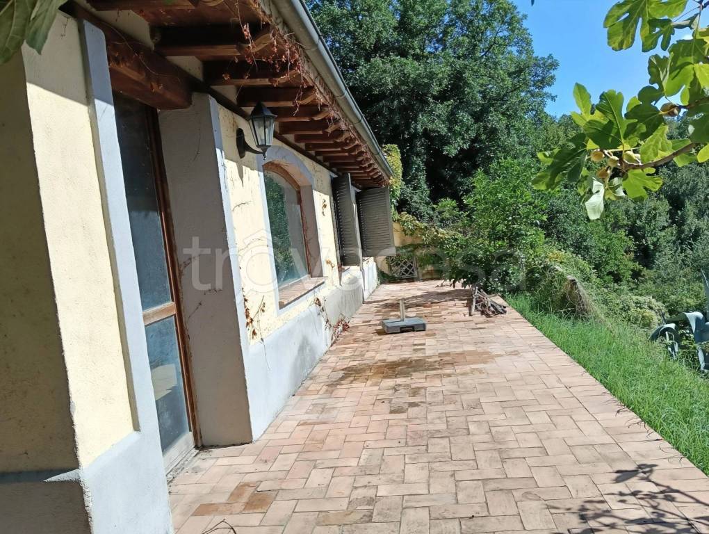 immagine annuncio 3 di 7