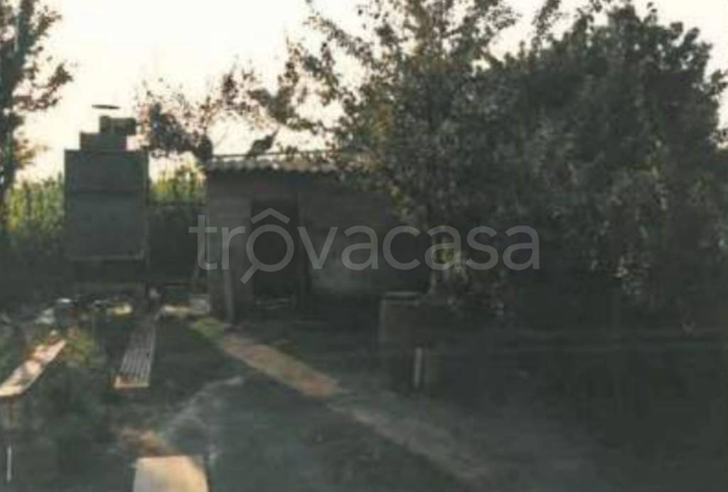 immagine annuncio 6 di 11