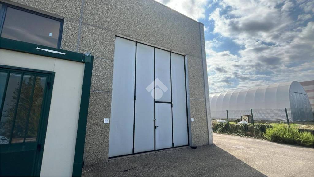 immagine annuncio 3 di 11