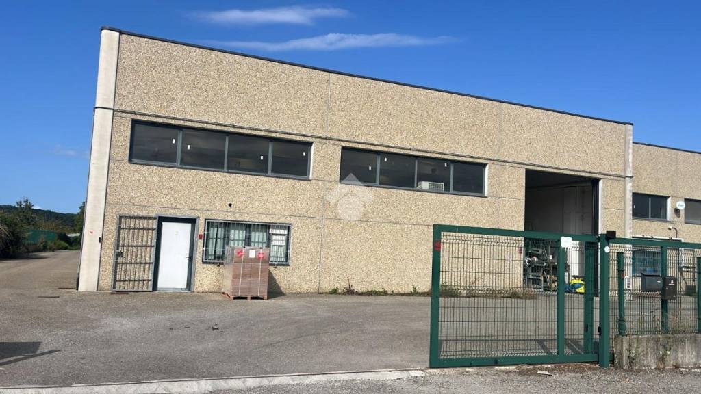 immagine annuncio 9 di 11