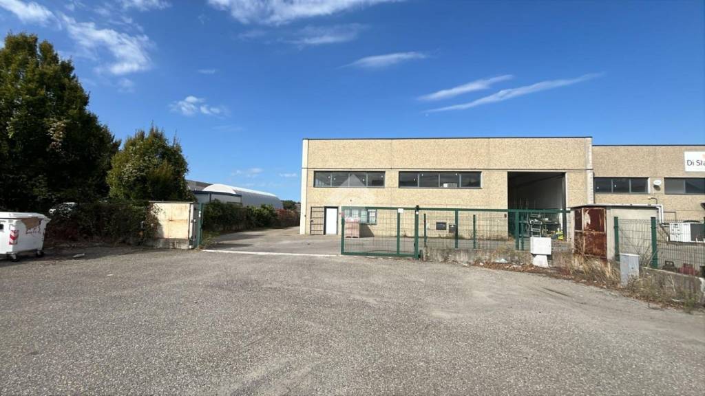 immagine annuncio 10 di 11