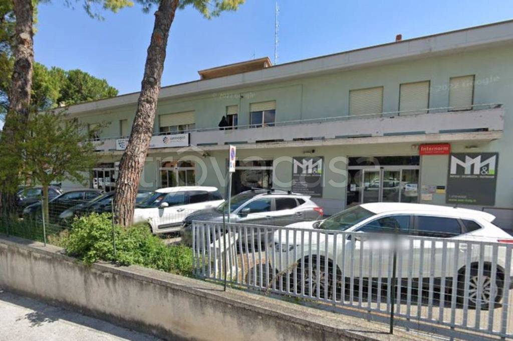 immagine annuncio 8 di 11