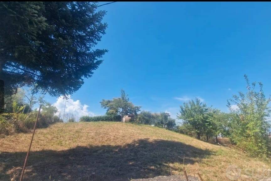 immagine annuncio 1 di 2