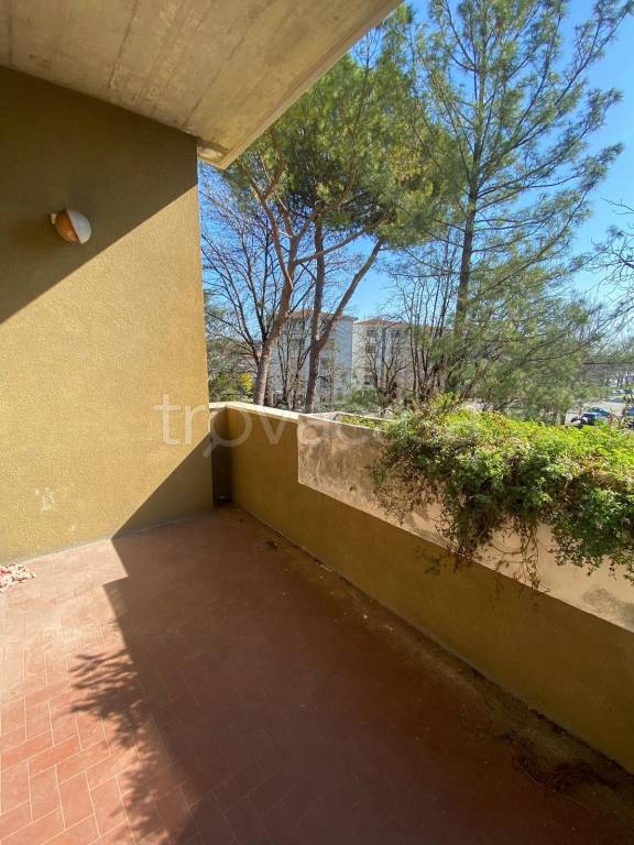 immagine annuncio 5 di 14