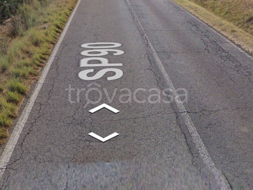 immagine annuncio 9 di 12