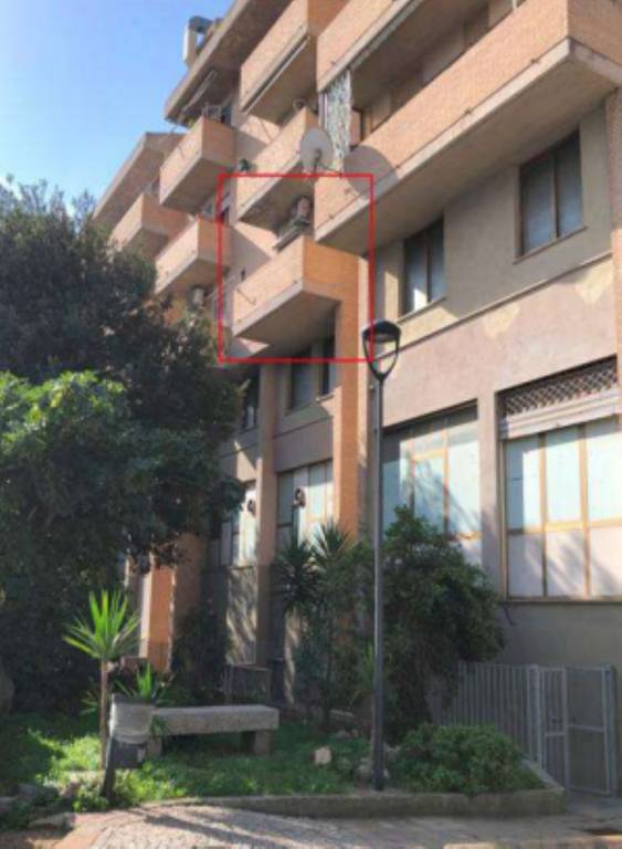 immagine annuncio 2 di 12