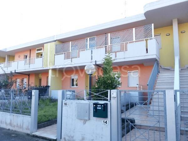 immagine annuncio 7 di 10