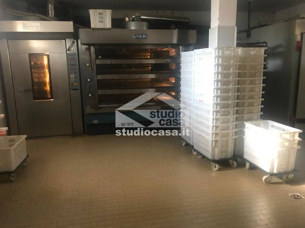 immagine annuncio 9 di 13