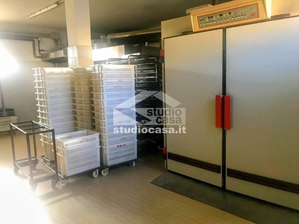 immagine annuncio 11 di 13