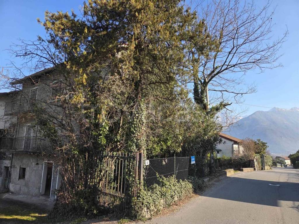 immagine annuncio 2 di 8