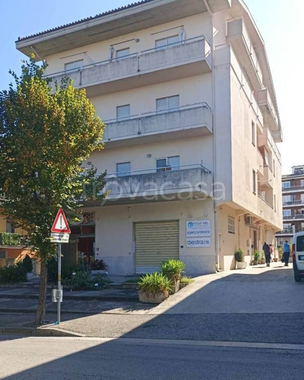 immagine annuncio 13 di 14