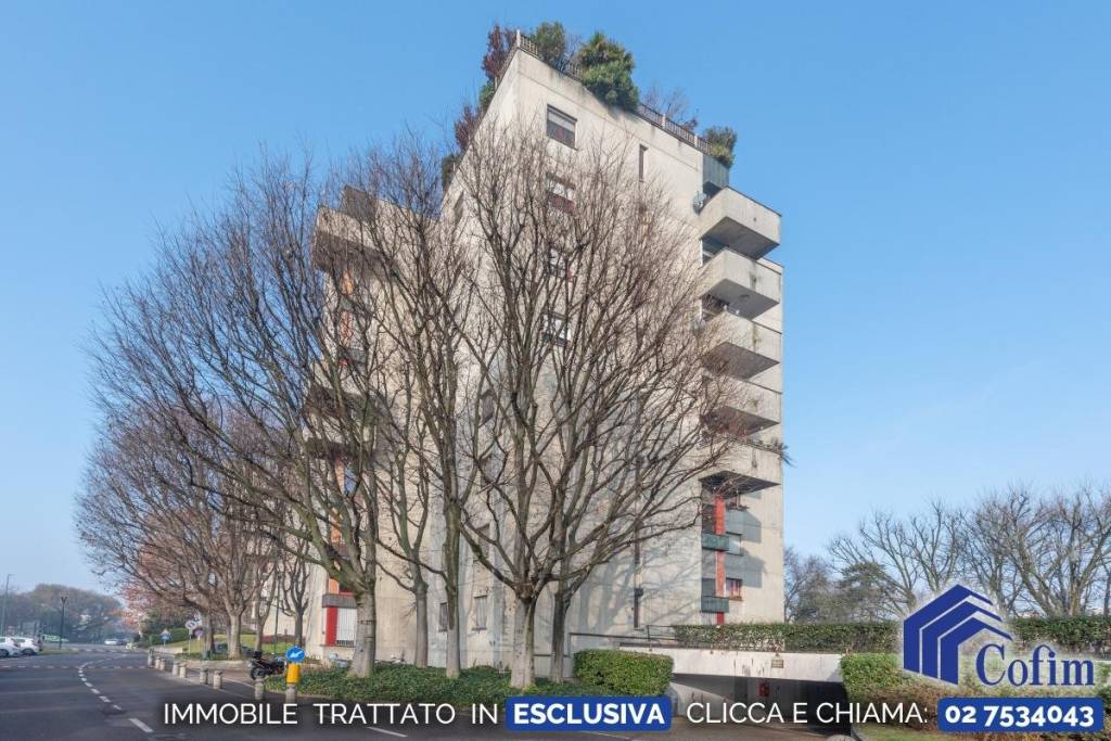 immagine annuncio 12 di 13