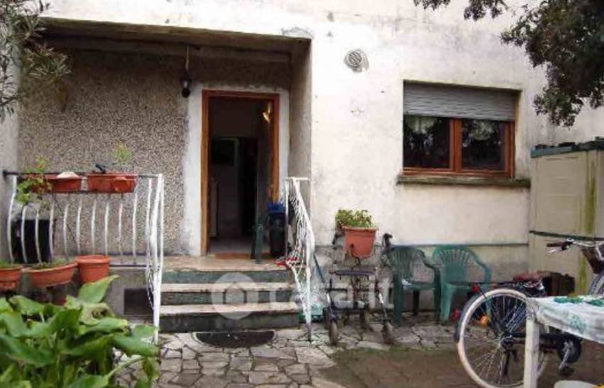 immagine annuncio 1 di 14