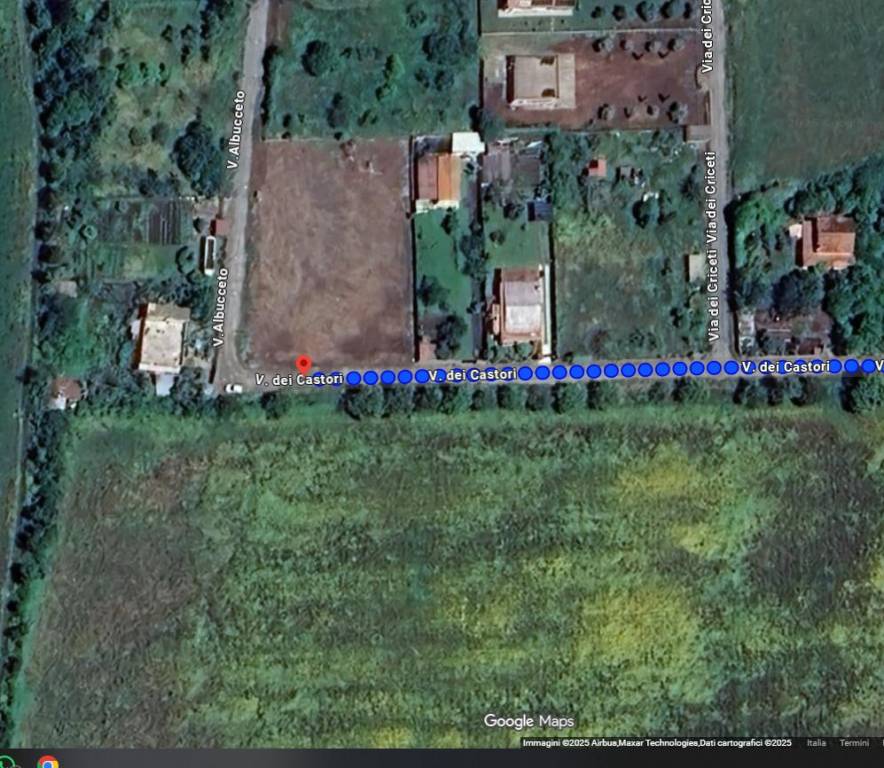 immagine annuncio 2 di 4