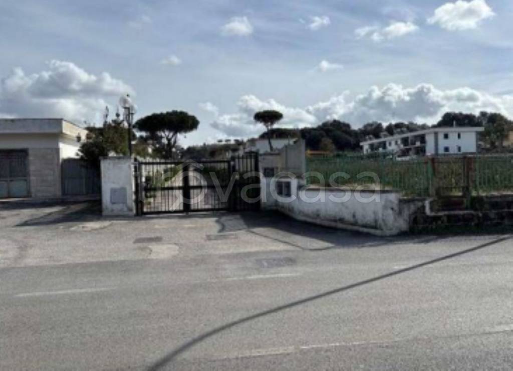 immagine annuncio 2 di 13