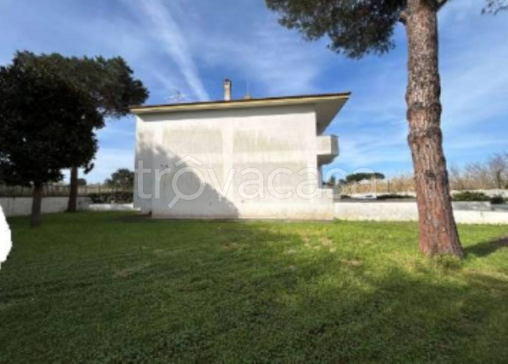 immagine annuncio 12 di 13