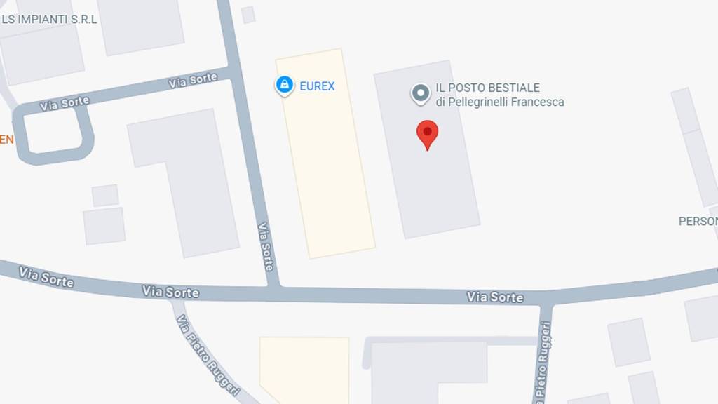 immagine annuncio 2 di 11