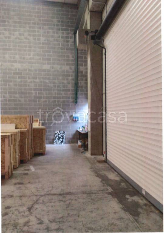 immagine annuncio 4 di 11