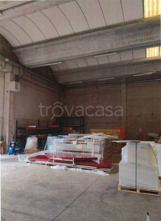 immagine annuncio 7 di 11