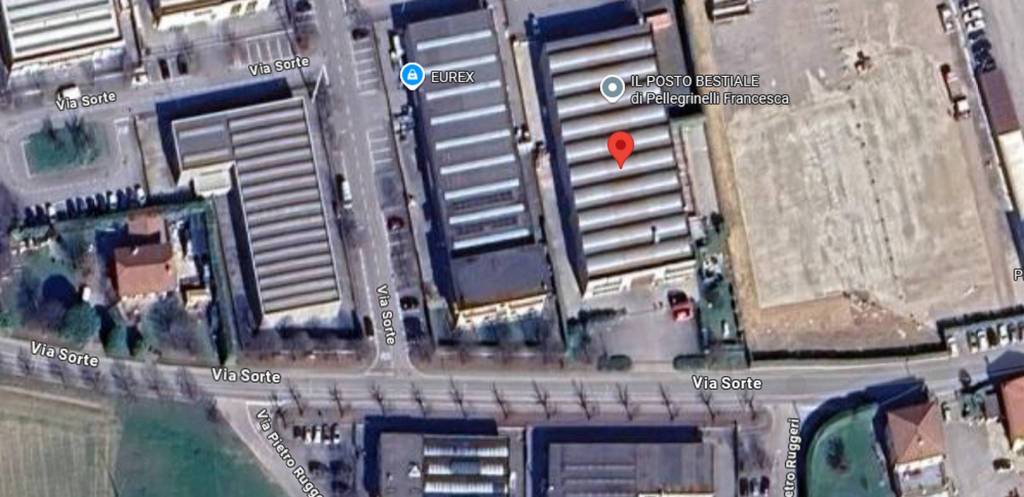 immagine annuncio 8 di 11