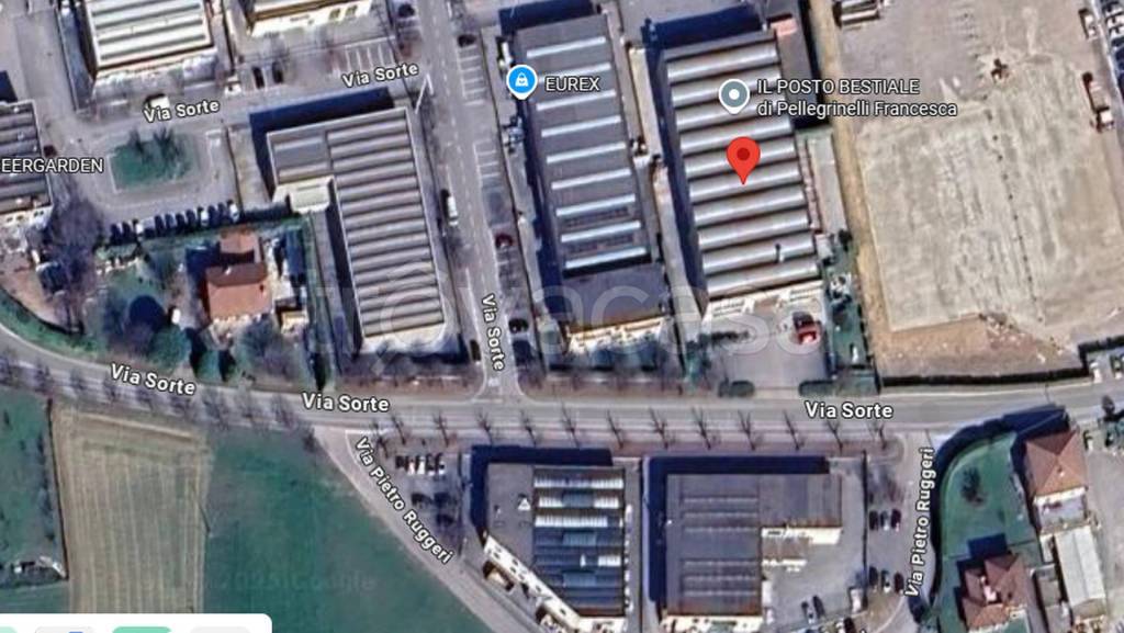 immagine annuncio 9 di 11