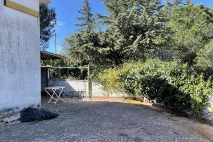 immagine annuncio 7 di 14