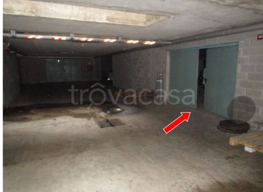 immagine annuncio 9 di 12