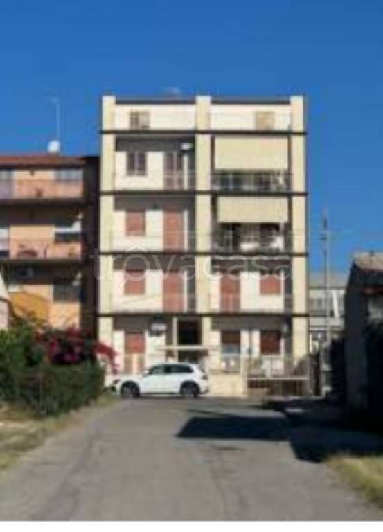 immagine annuncio 1 di 12