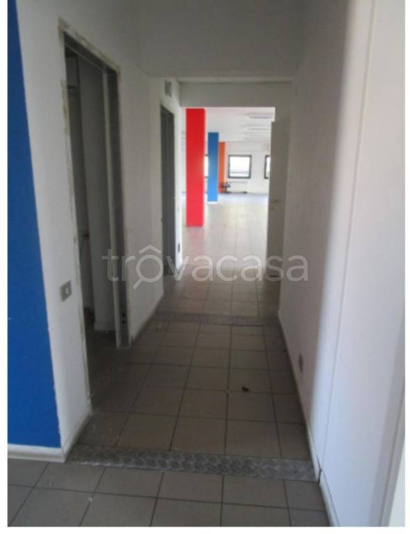 immagine annuncio 11 di 14