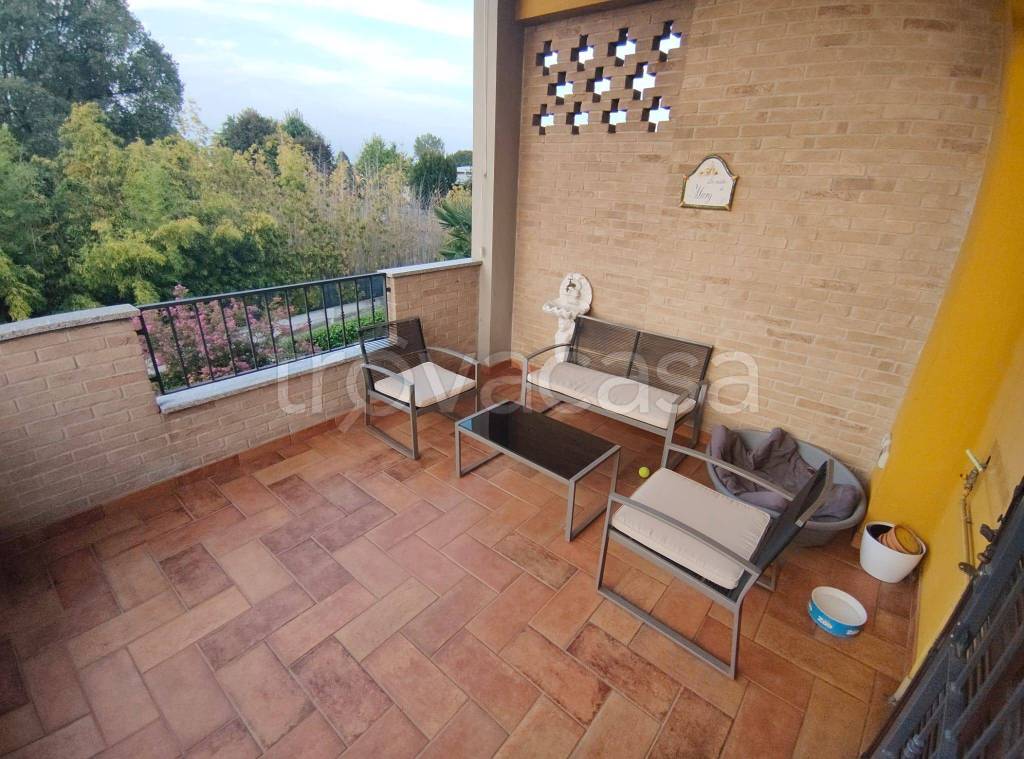 immagine annuncio 11 di 15