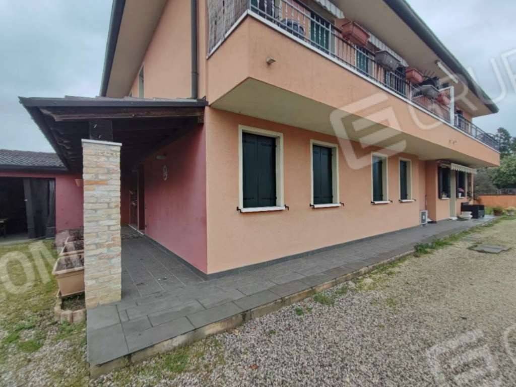 immagine annuncio 1 di 14