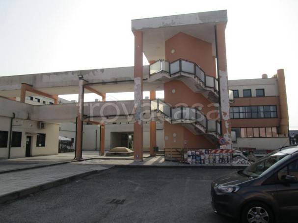 immagine annuncio 2 di 9