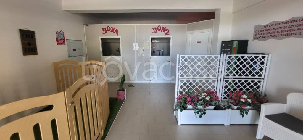 immagine annuncio 4 di 7