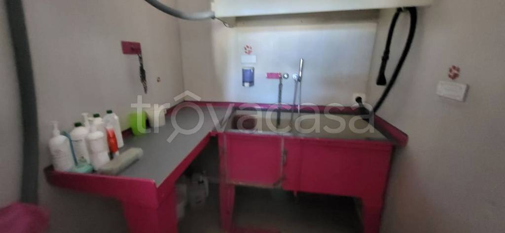 immagine annuncio 5 di 7