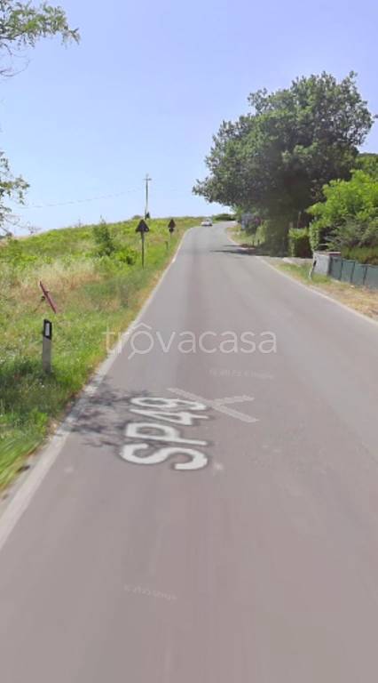 immagine annuncio 7 di 11