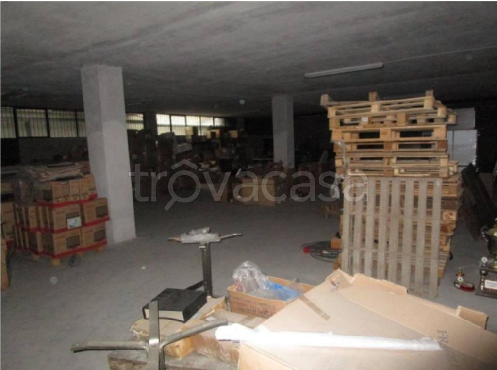 immagine annuncio 5 di 14