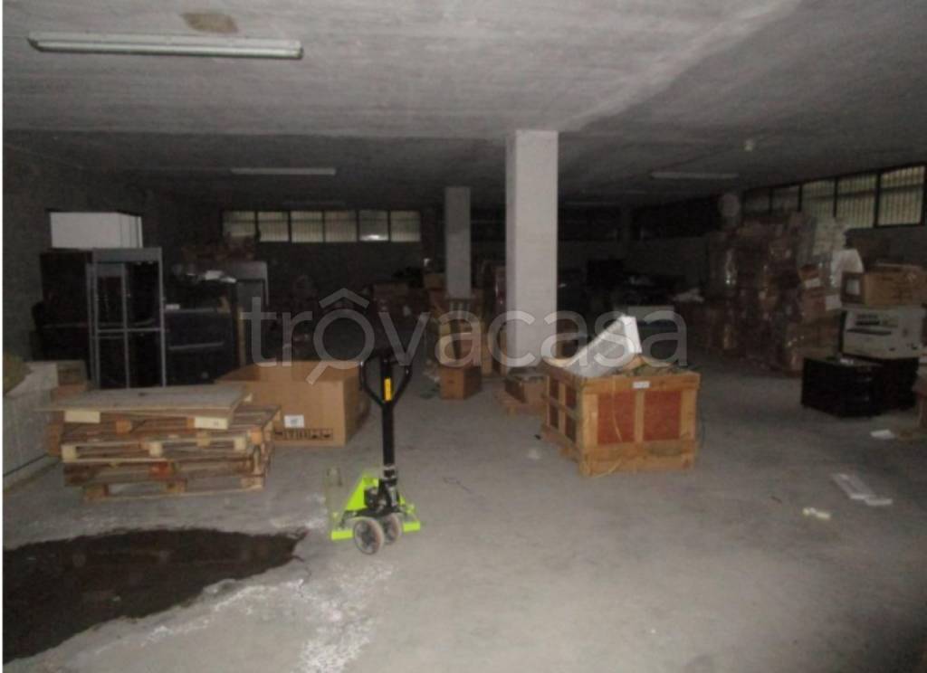 immagine annuncio 6 di 14