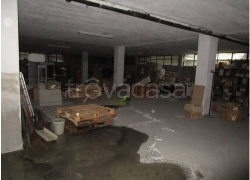 immagine annuncio 7 di 14