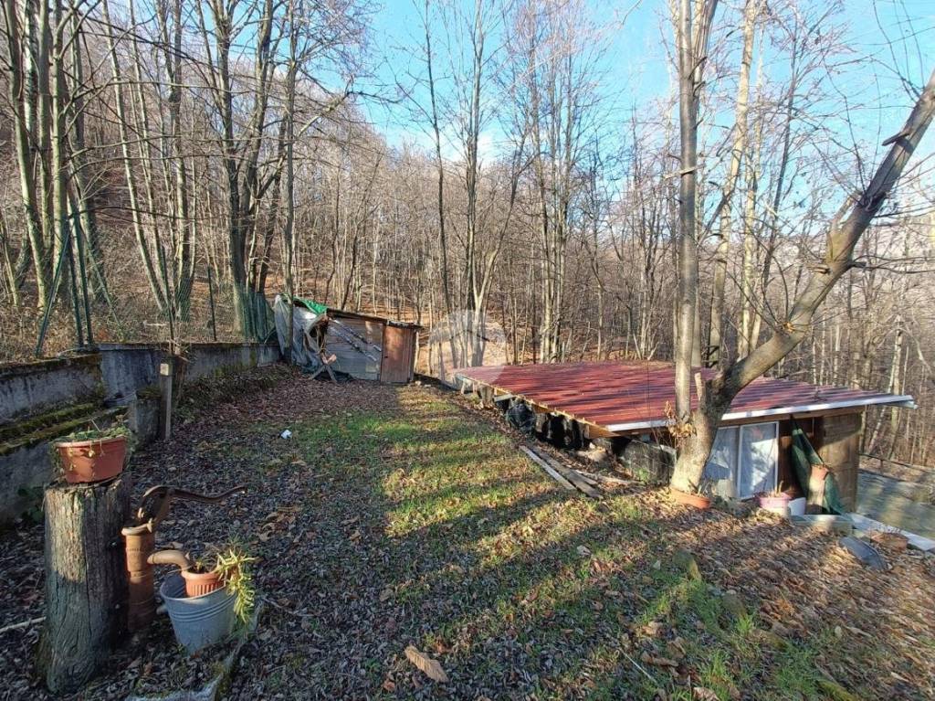 immagine annuncio 1 di 12