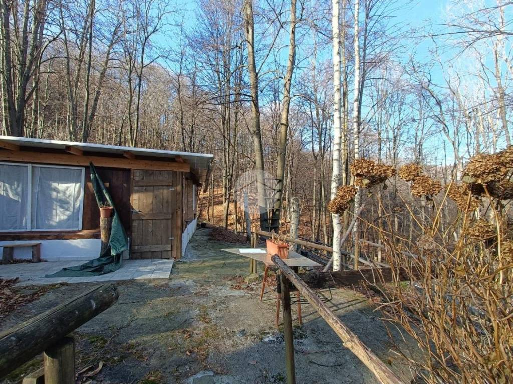 immagine annuncio 2 di 12