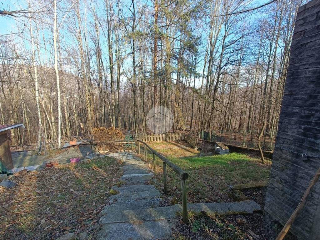 immagine annuncio 3 di 12