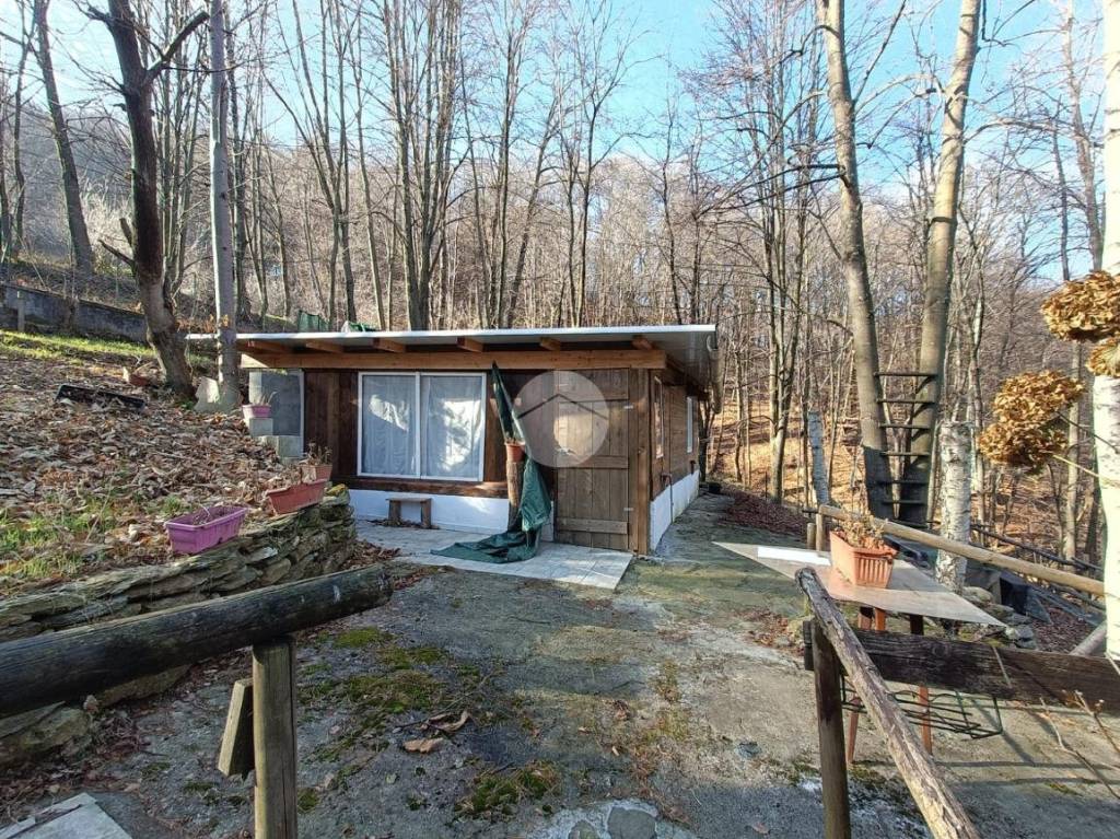 immagine annuncio 6 di 12