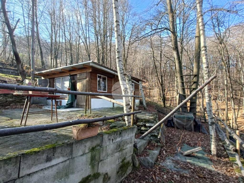 immagine annuncio 7 di 12