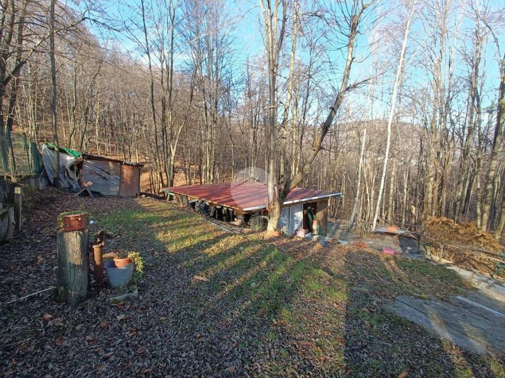 immagine annuncio 8 di 12