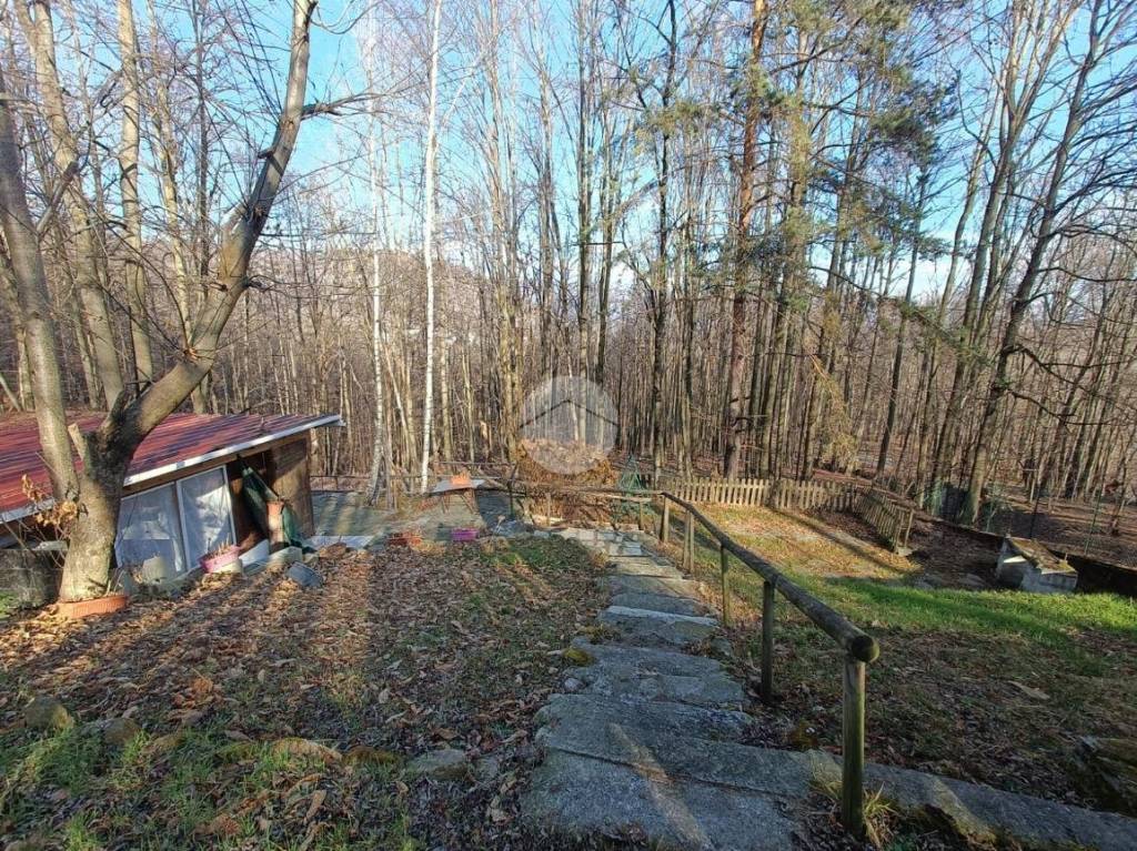 immagine annuncio 11 di 12