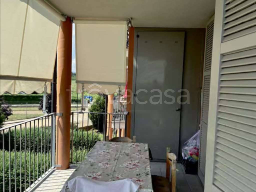 immagine annuncio 5 di 14
