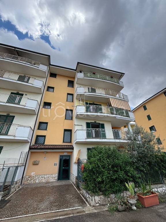 immagine annuncio 1 di 14